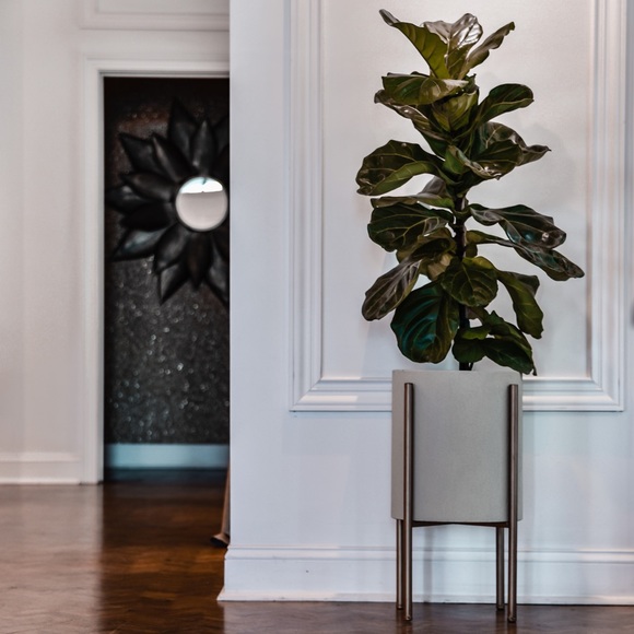 SHOP OUR WEBSITE! - Picture 9 of 9